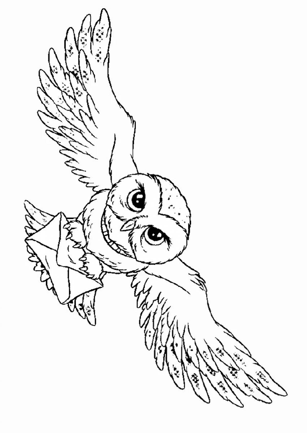 Fun coloring hedwig owl