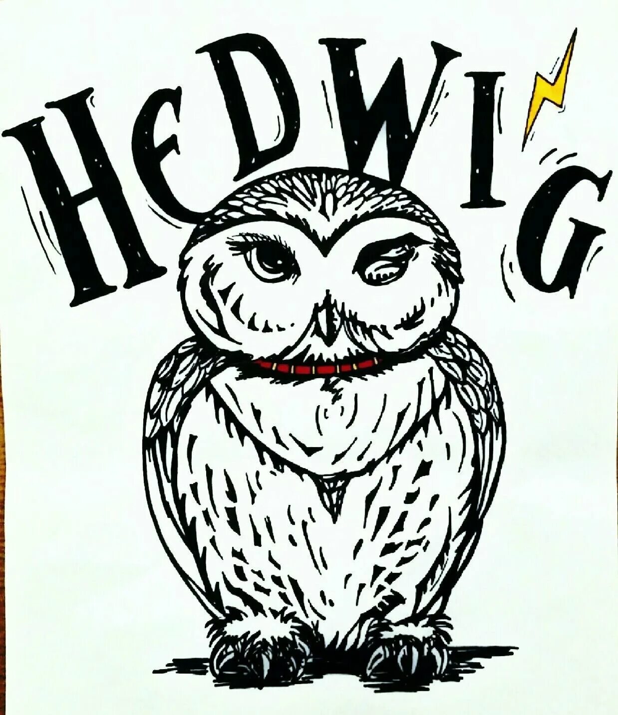 Cheerful Hedwig Owl coloring book