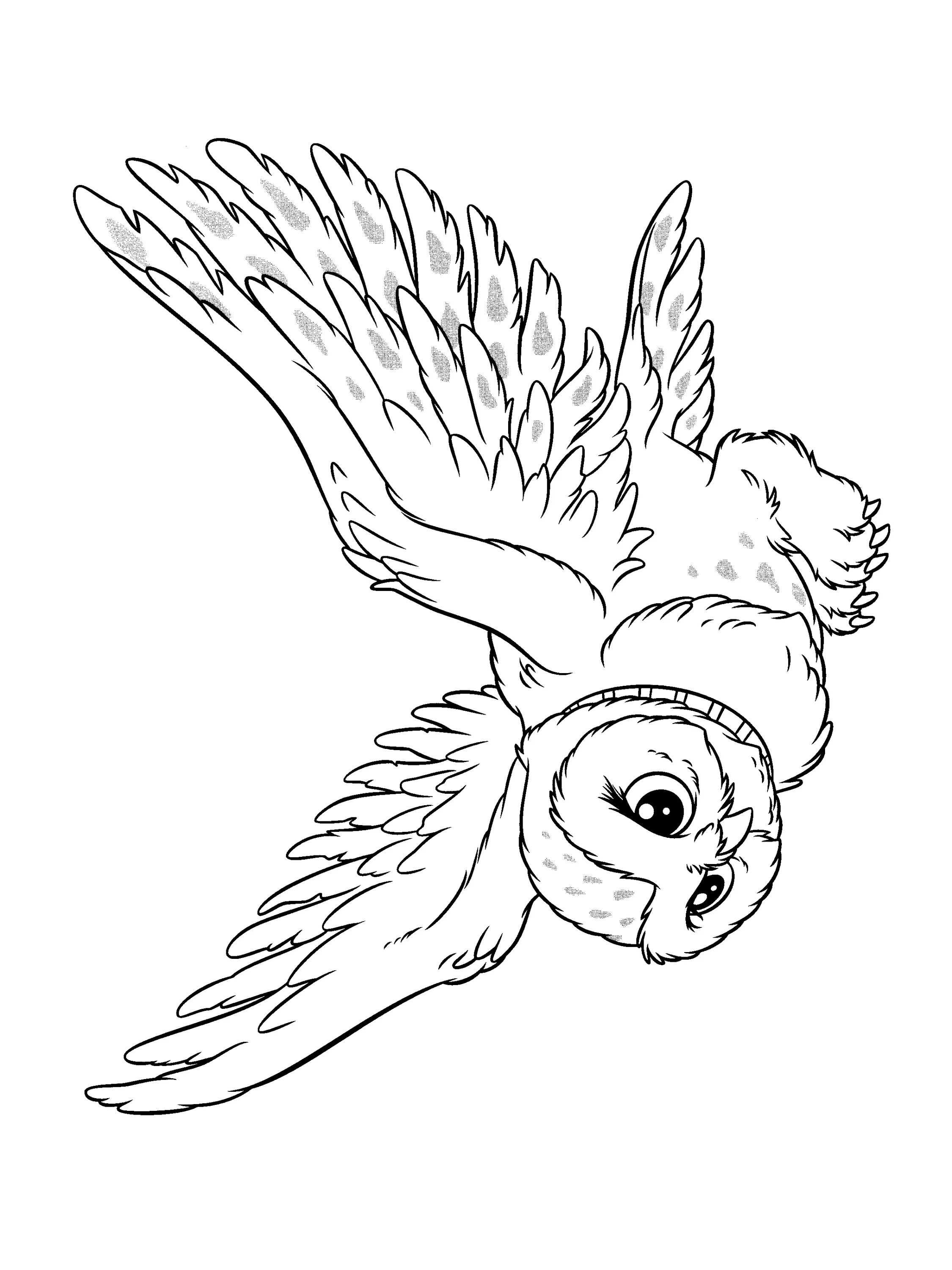 Great coloring hedwig owl