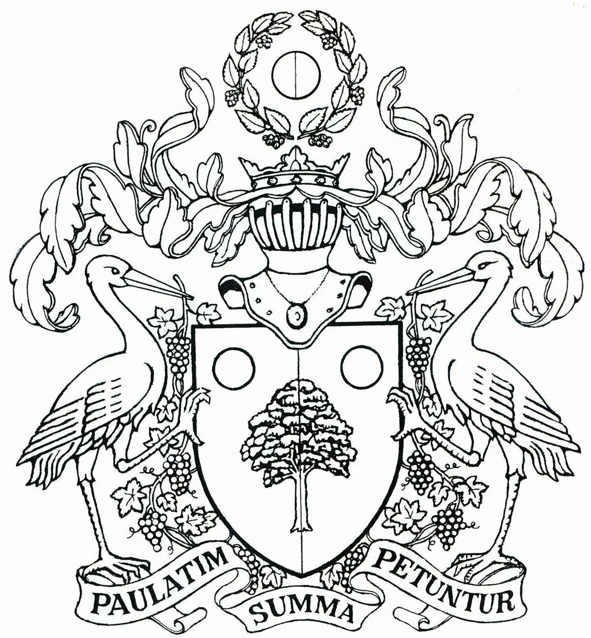 Family coat of arms #7