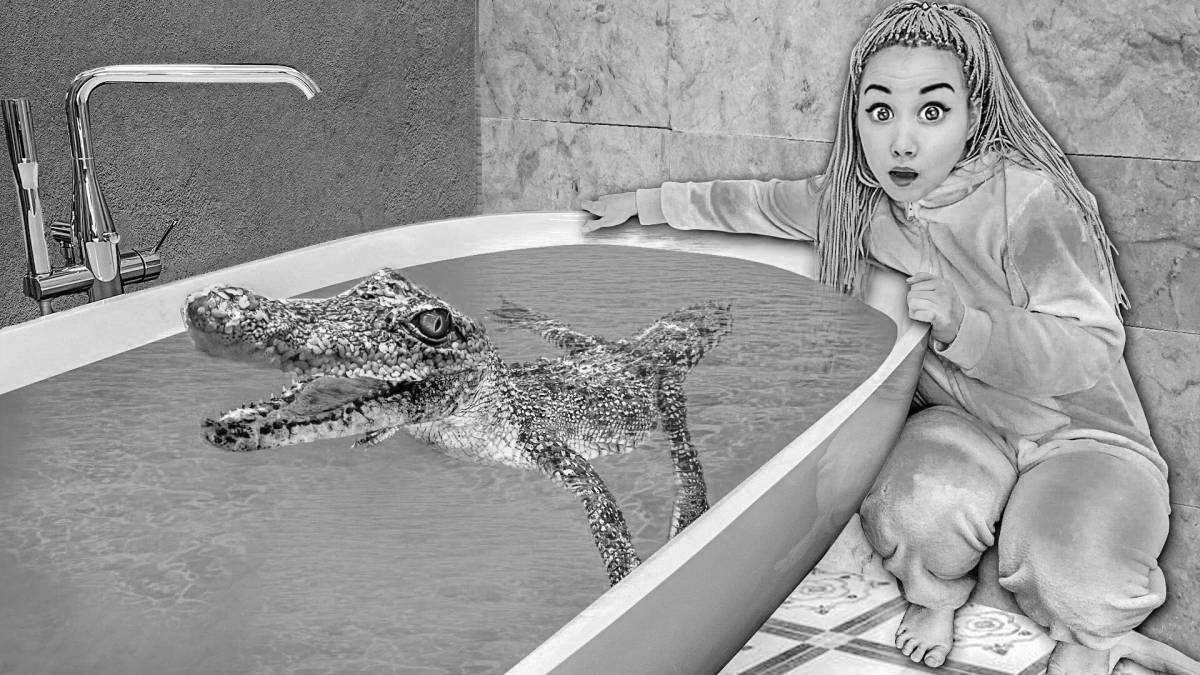 Moonmosik channel wonderful coloring