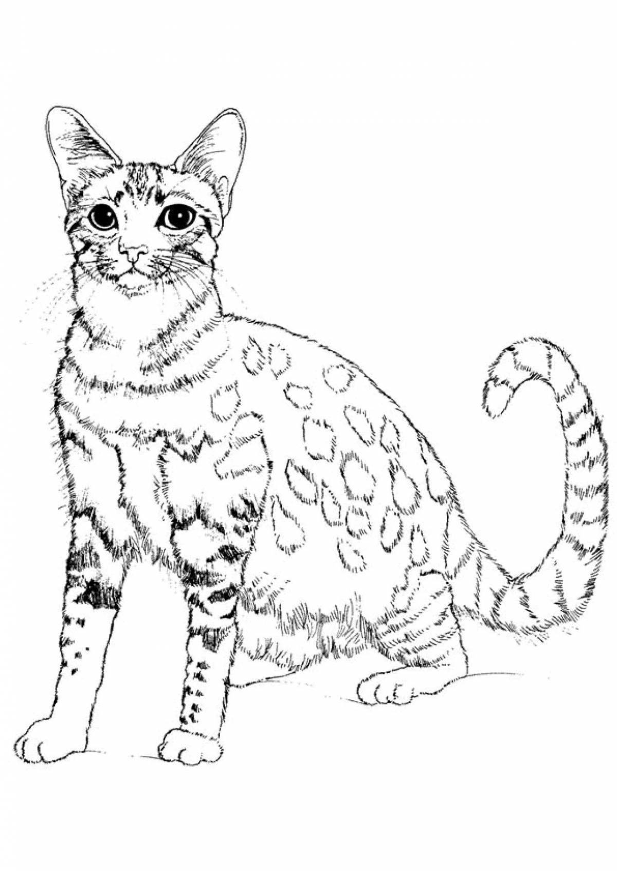Раскраска веселая деревянная кошка