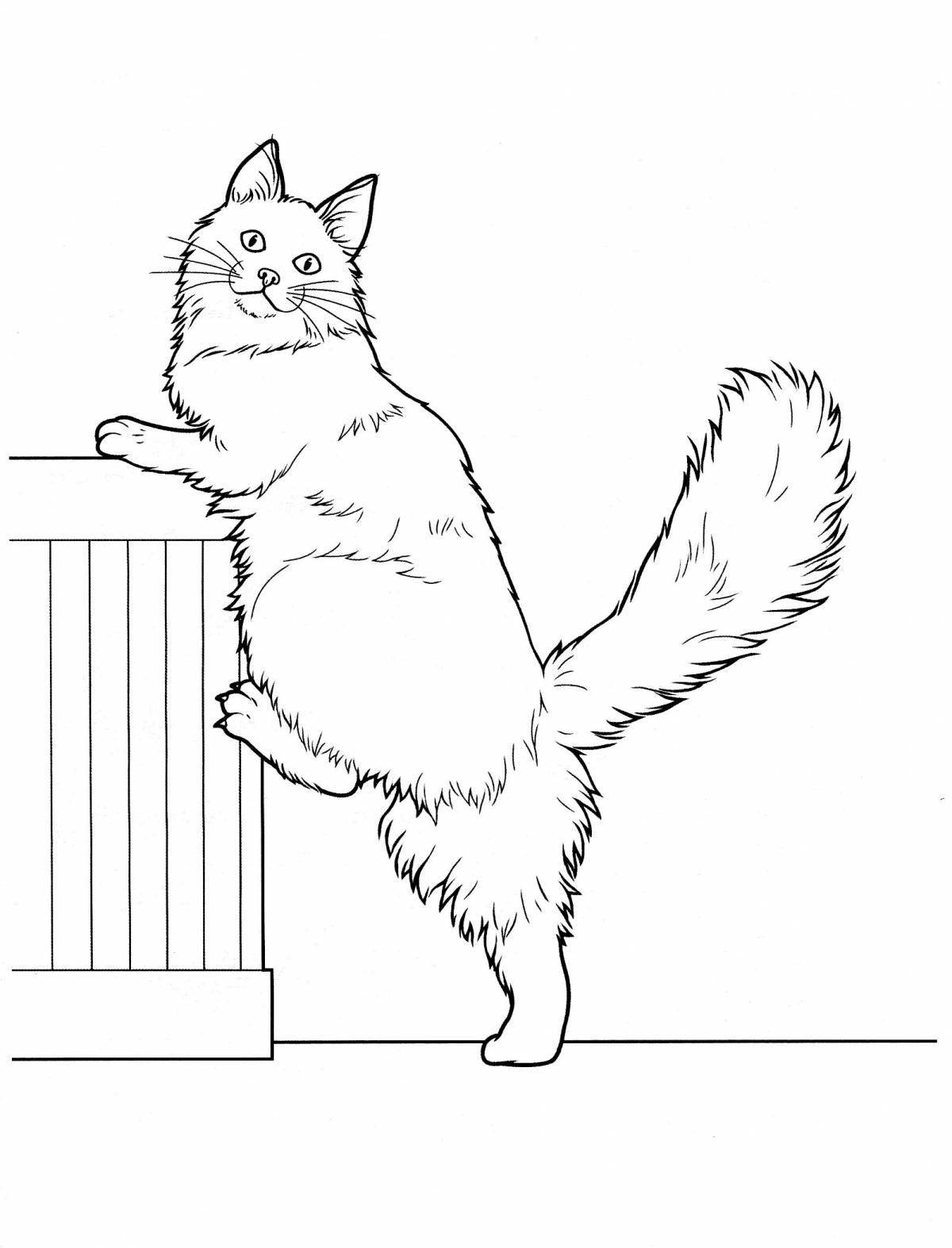 Animated wooden cat coloring page