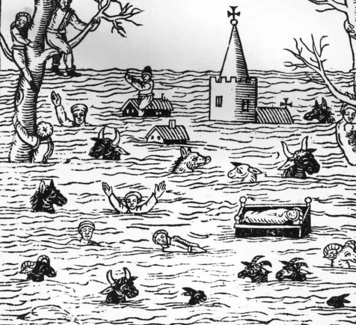 Joyful coloring picture of the flood