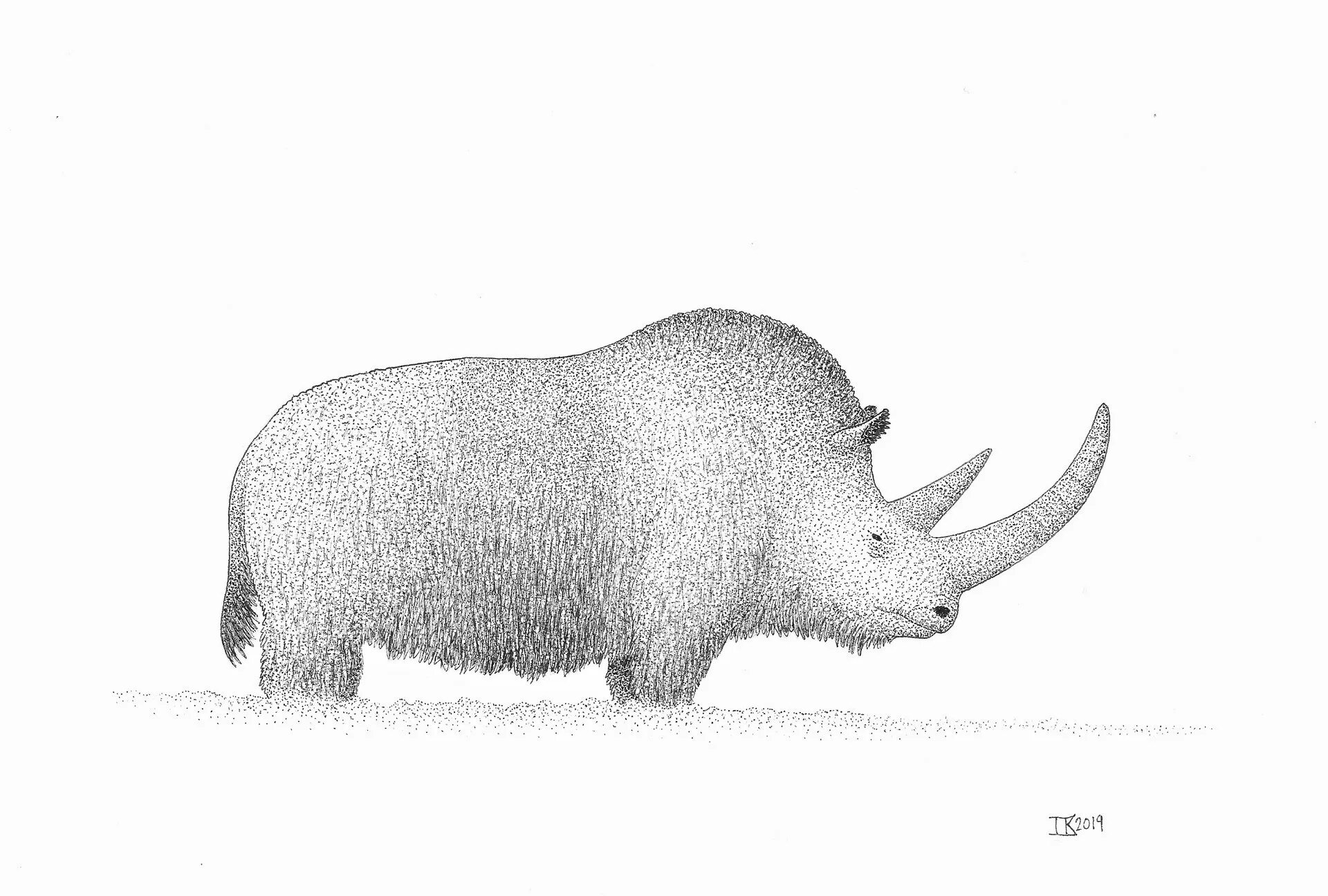 Coloring book cute woolly rhinoceros