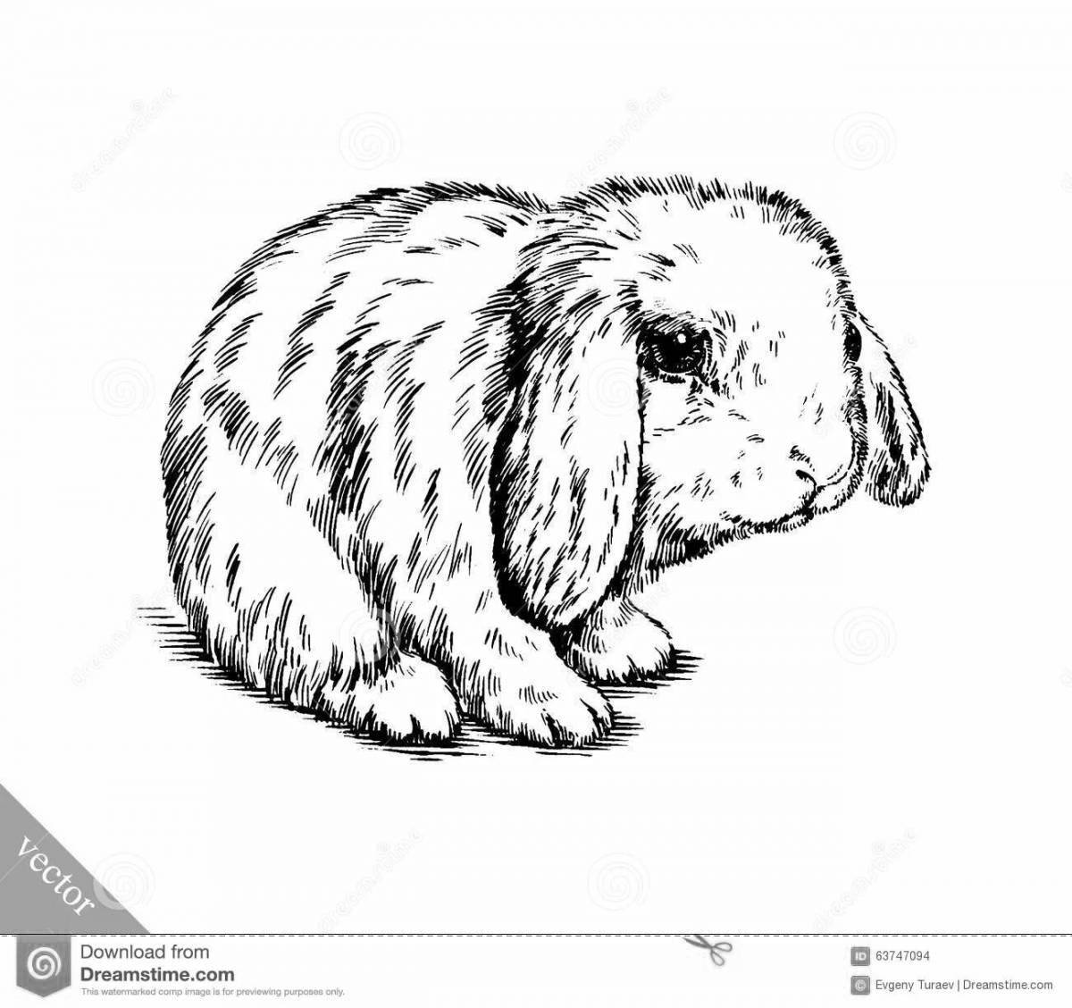 Очаровательный ангорский кролик раскраска