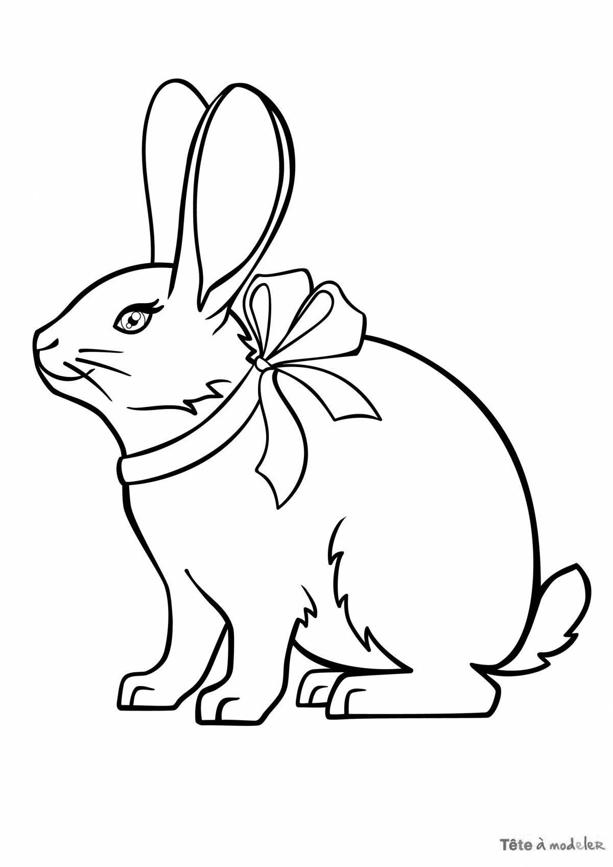 Красочная страница раскраски ангорского кролика