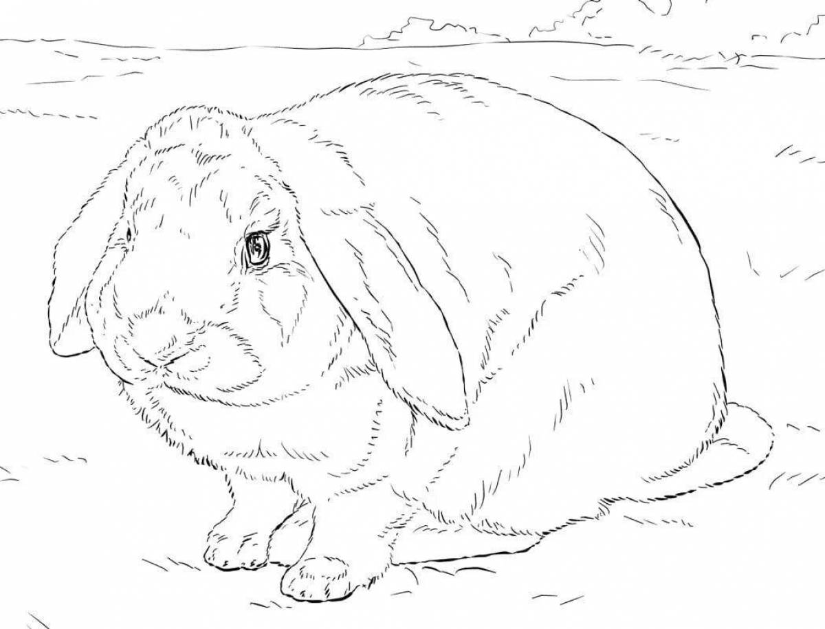 Majestic angora rabbit coloring page