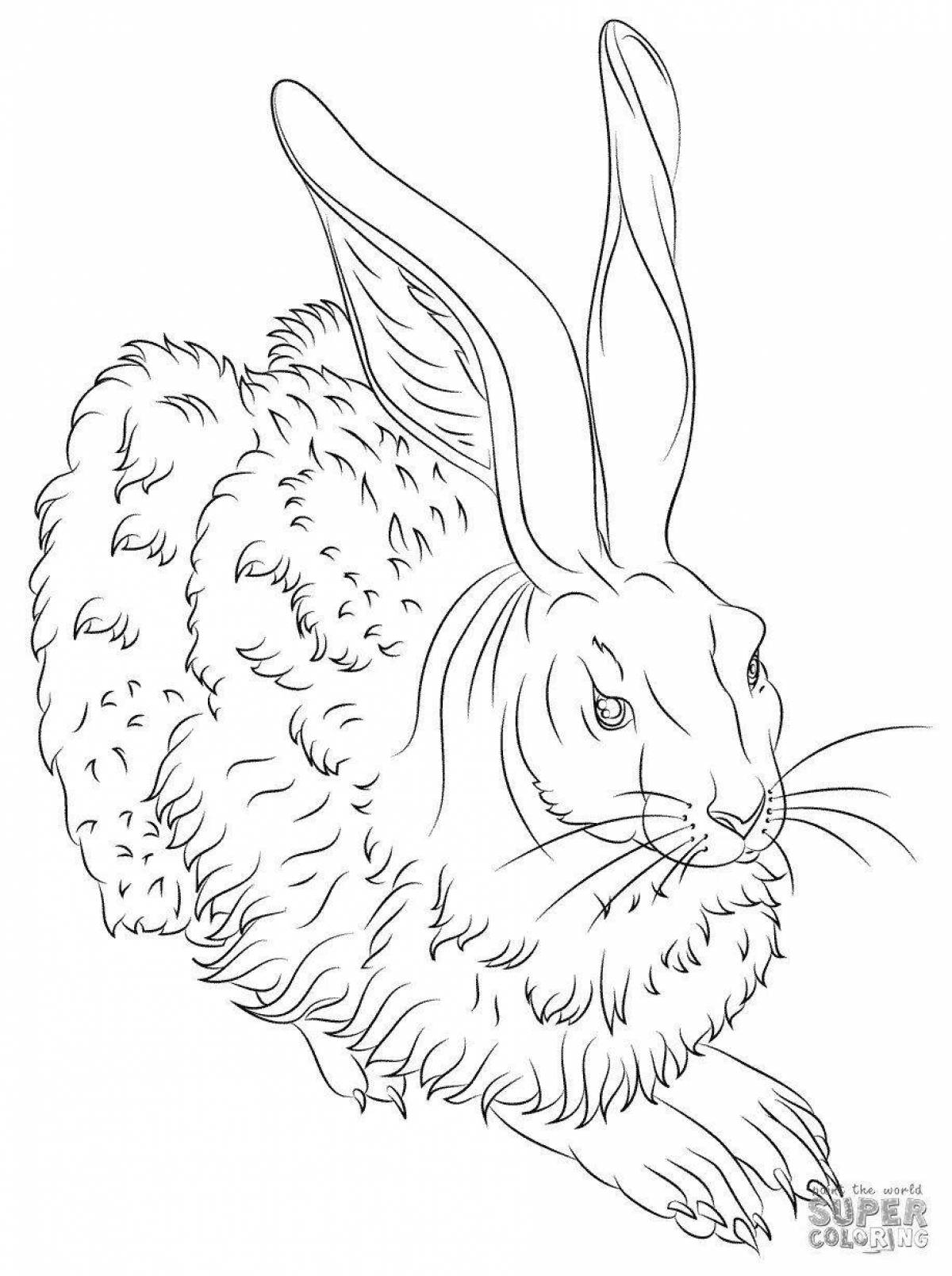 Adorable angora rabbit coloring page
