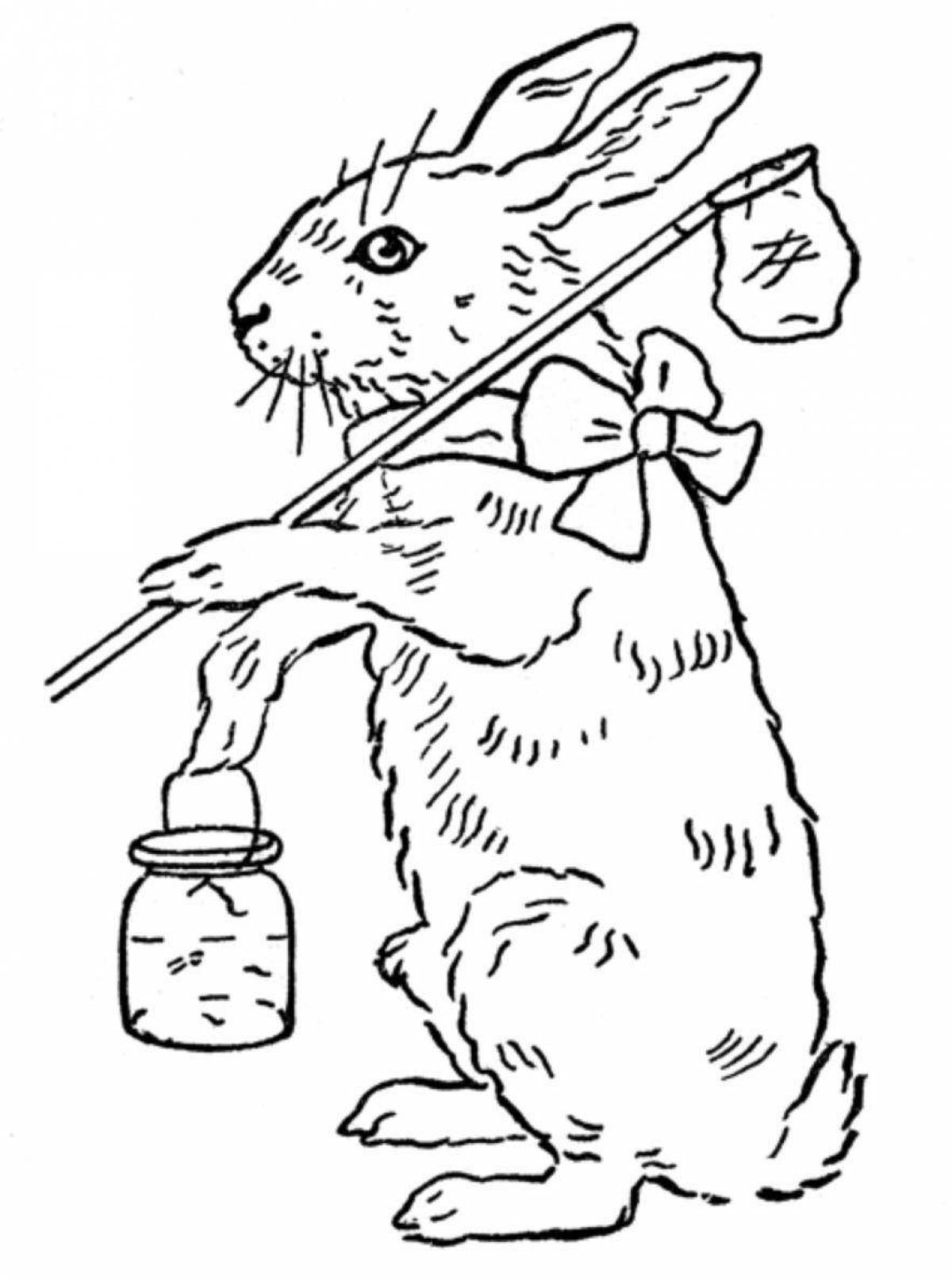 Fancy angora rabbit coloring