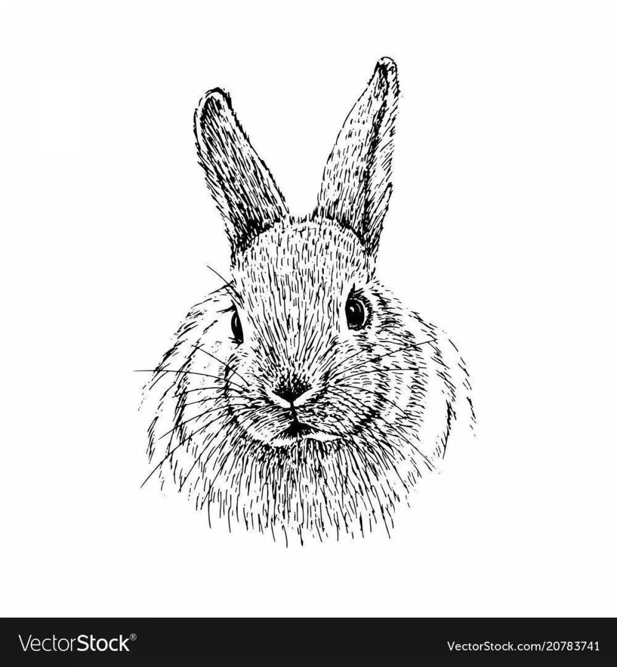Rampant angora rabbit coloring page