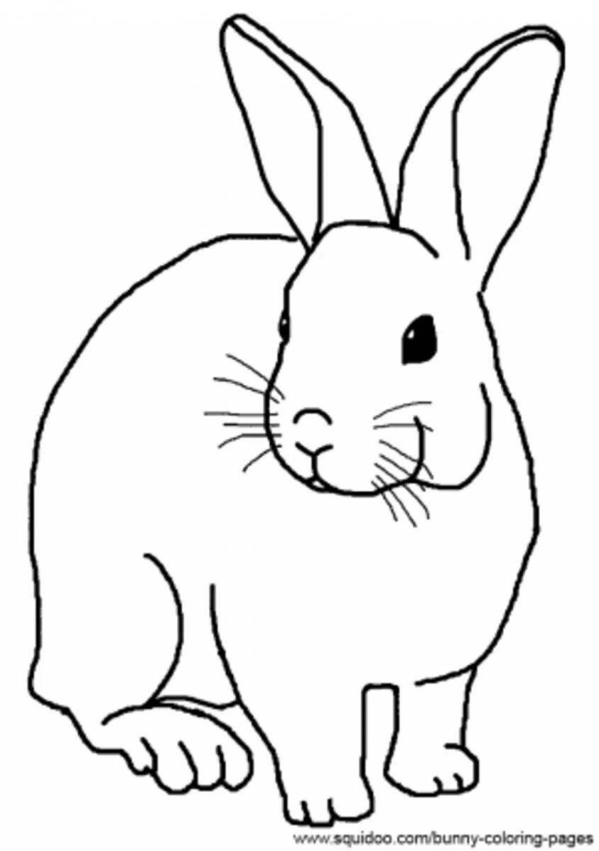 Shiny angora rabbit coloring page
