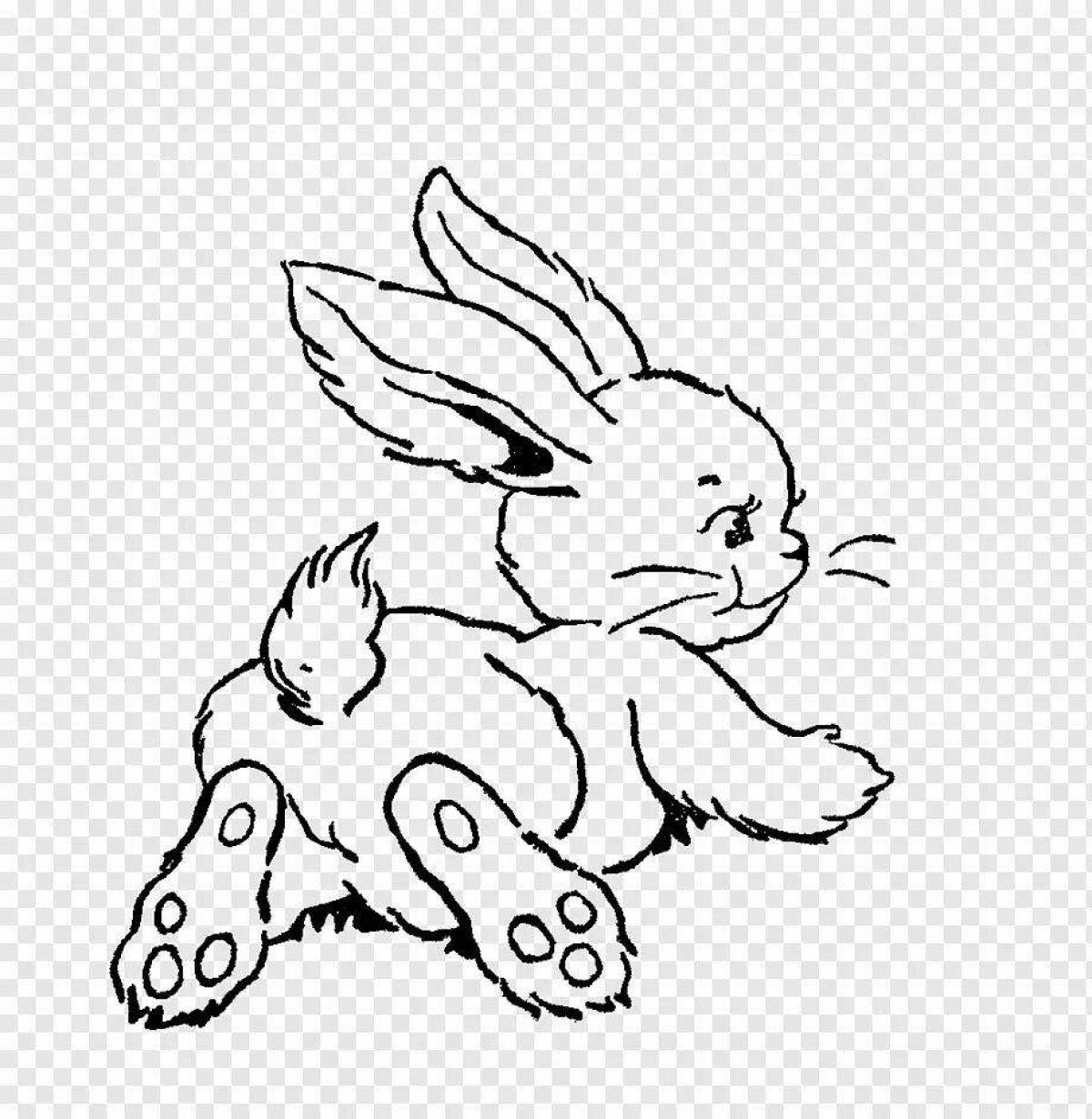 Раскраска мягкий ангорский кролик