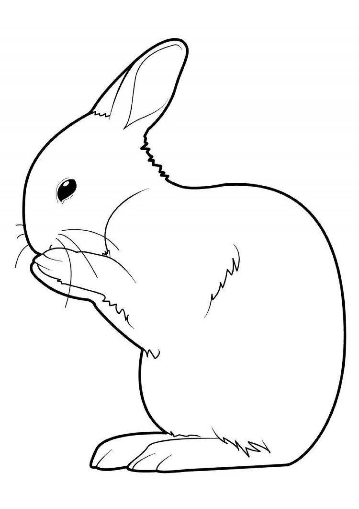 Раскраска блаженный ангорский кролик