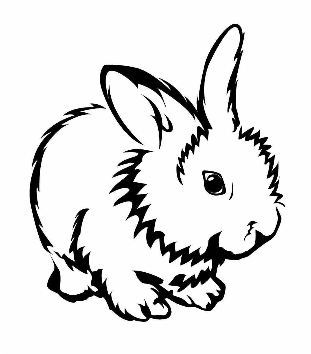 Glitter angora rabbit coloring page