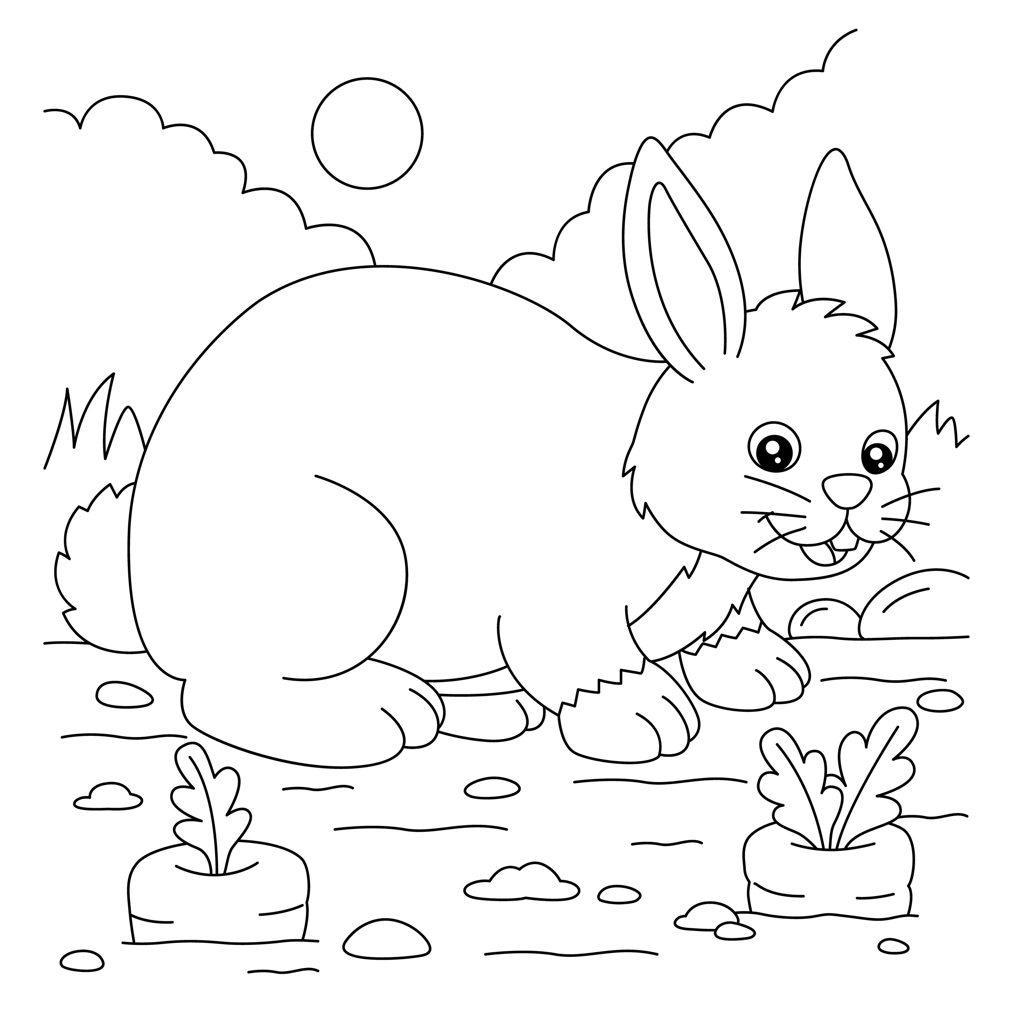 Кролик ангорский #4