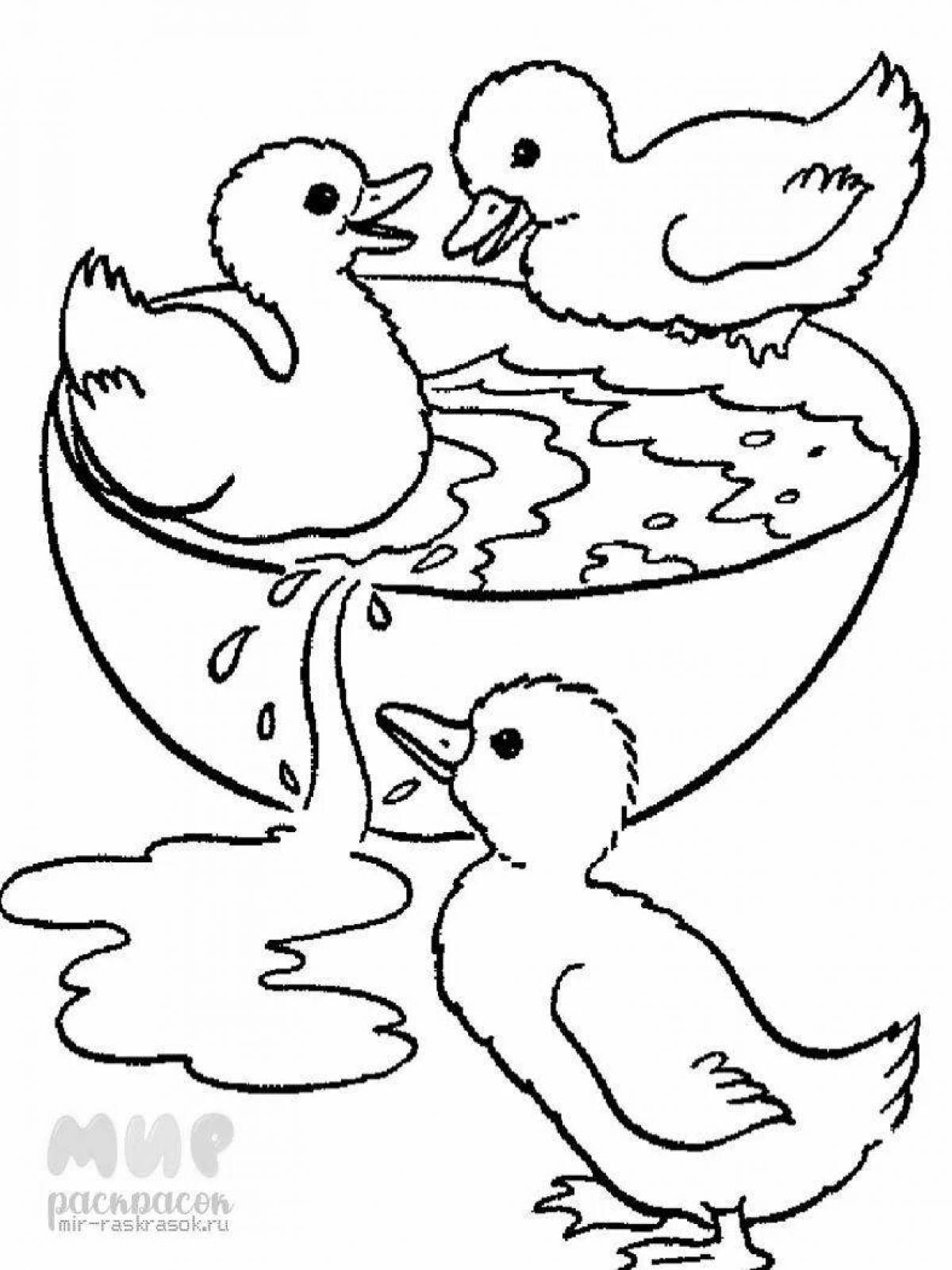 Duck coloring page for girls