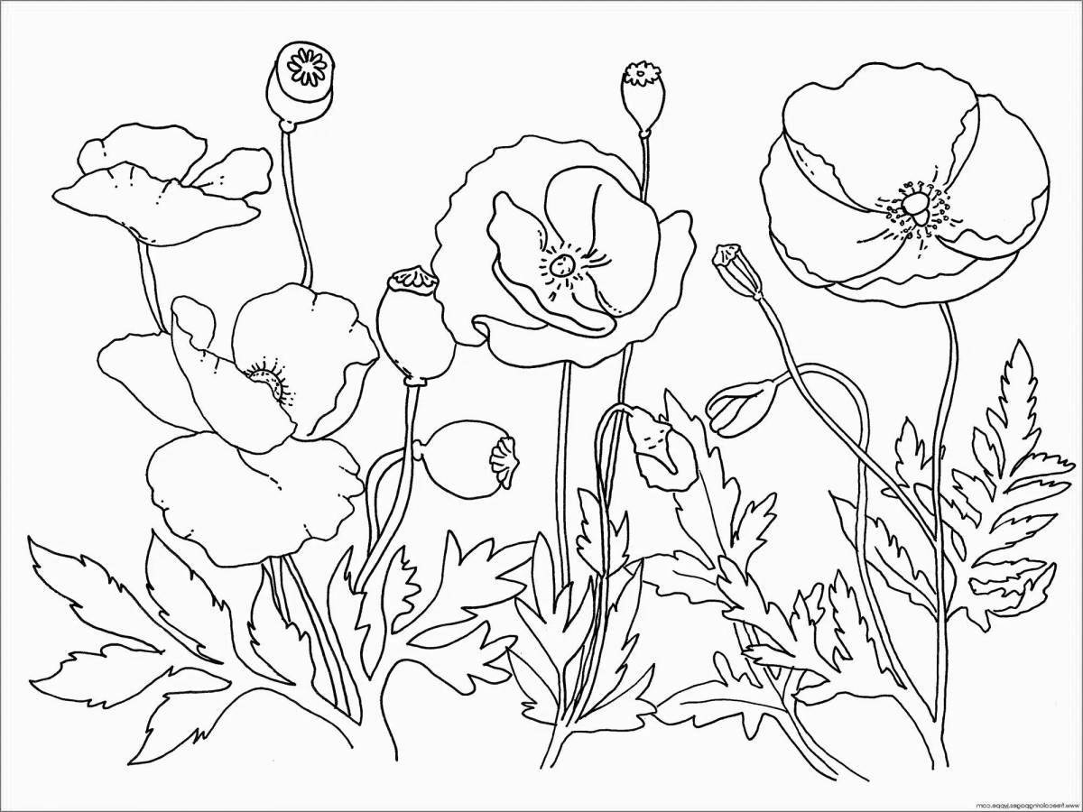 Fascinating Acrylic Coloring Page