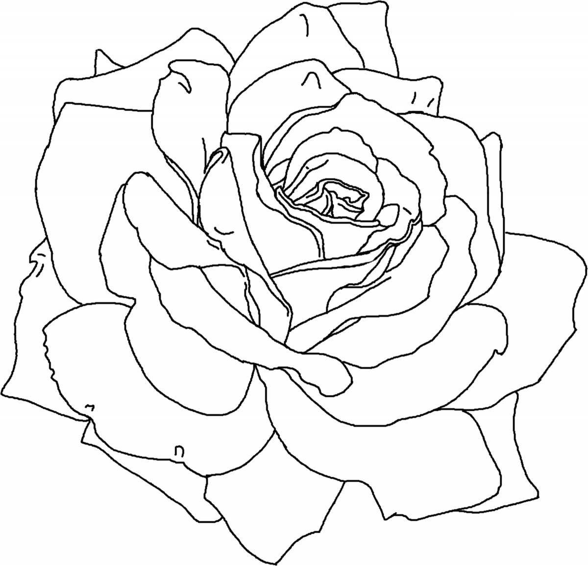 Очаровательная роза-раскраска для девочек