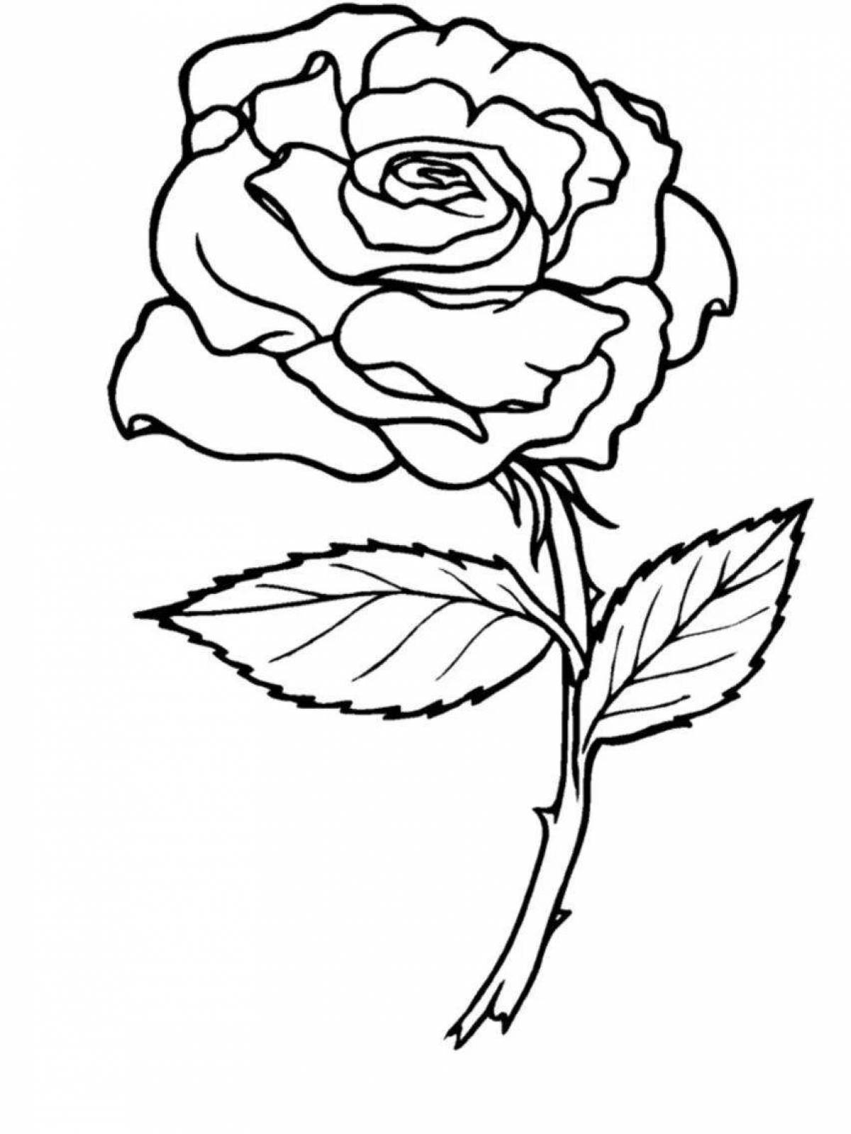Раскраска манящая роза для девочек