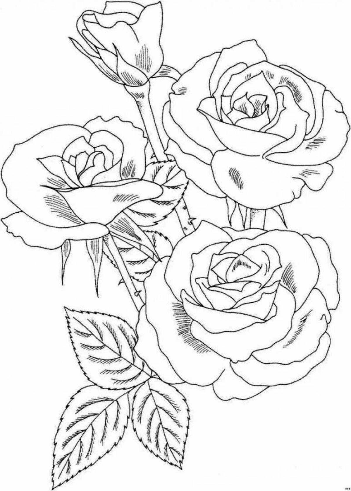 Sublime rose coloring page for girls