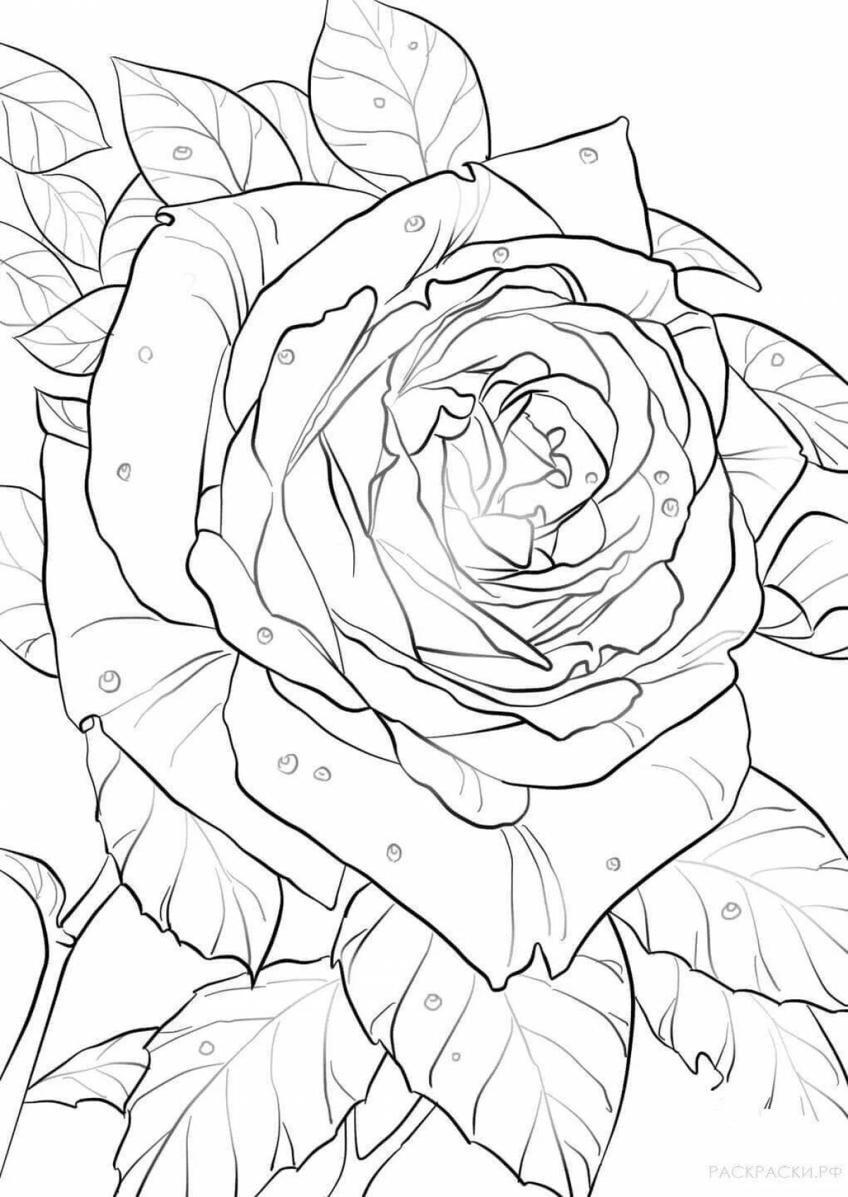 Coloring serene rose for girls