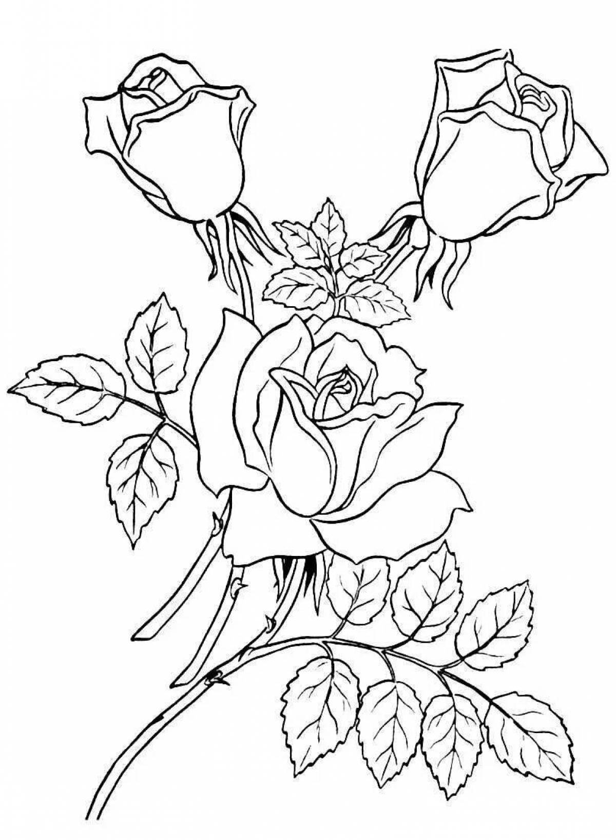 Coloring majestic rose for girls