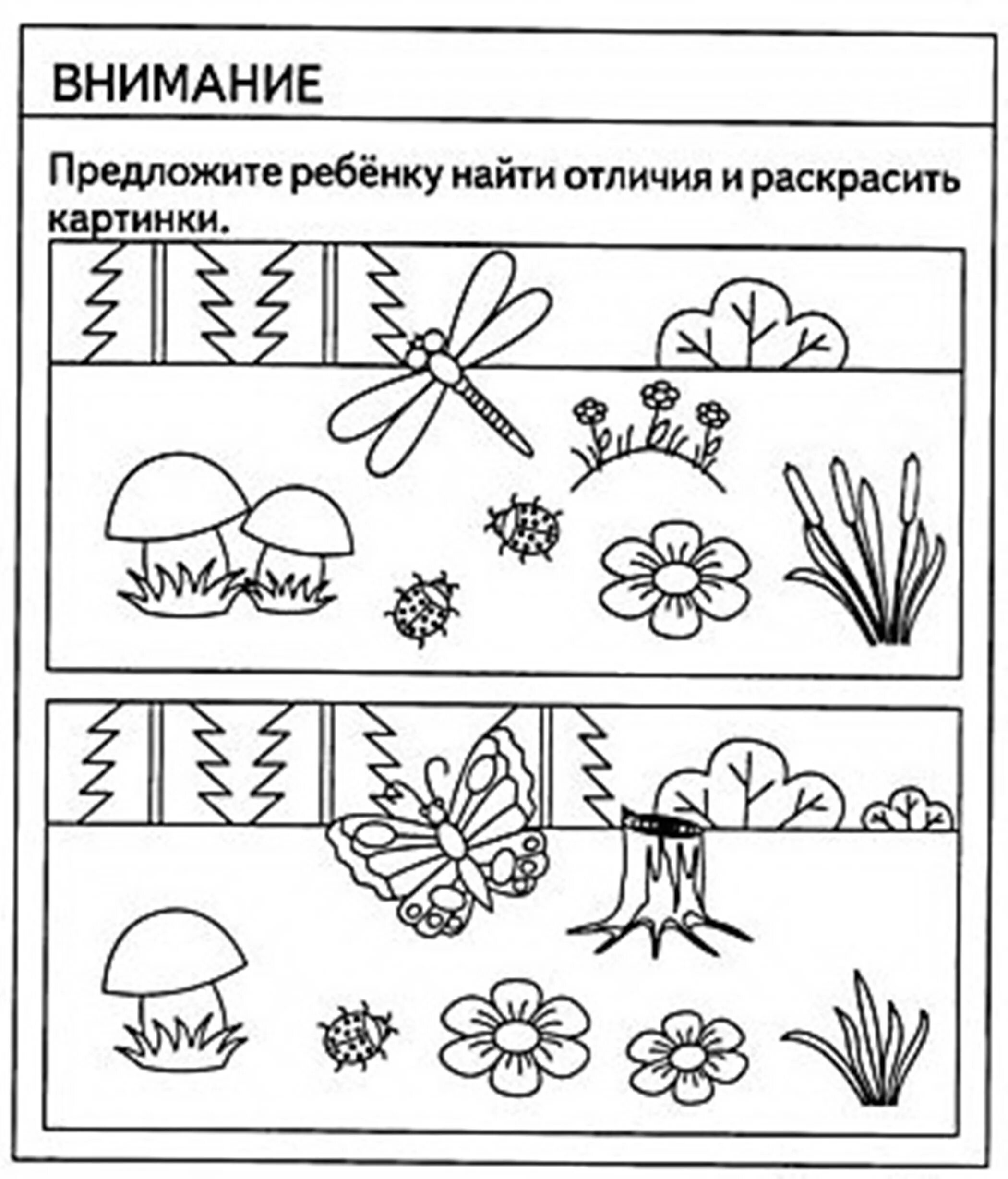 Раскраски на развитие внимания. Найди и раскрась животных.