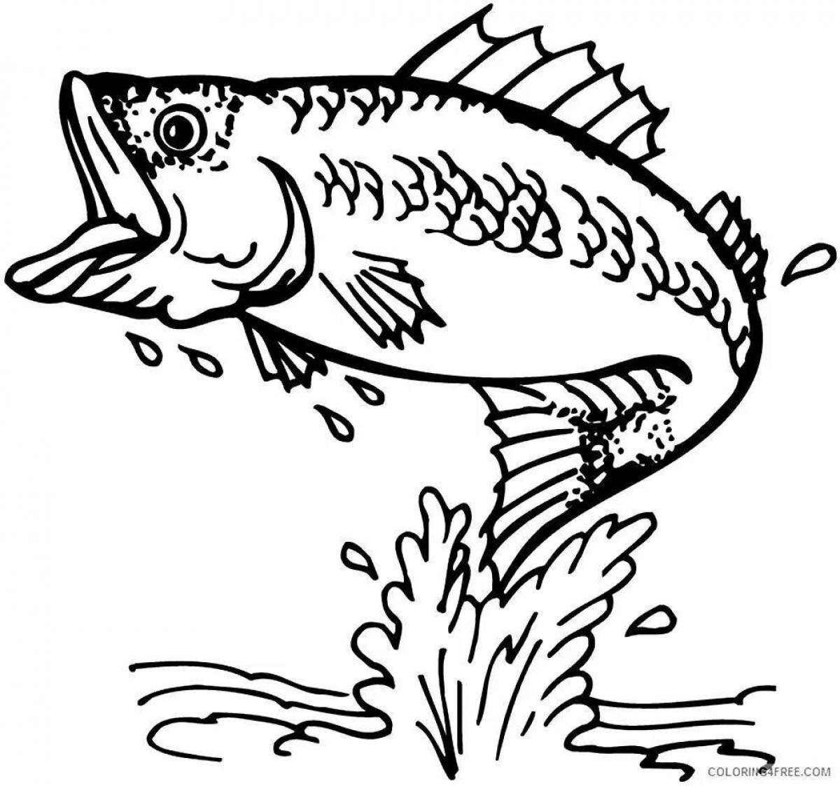 Playful fish coloring book for boys