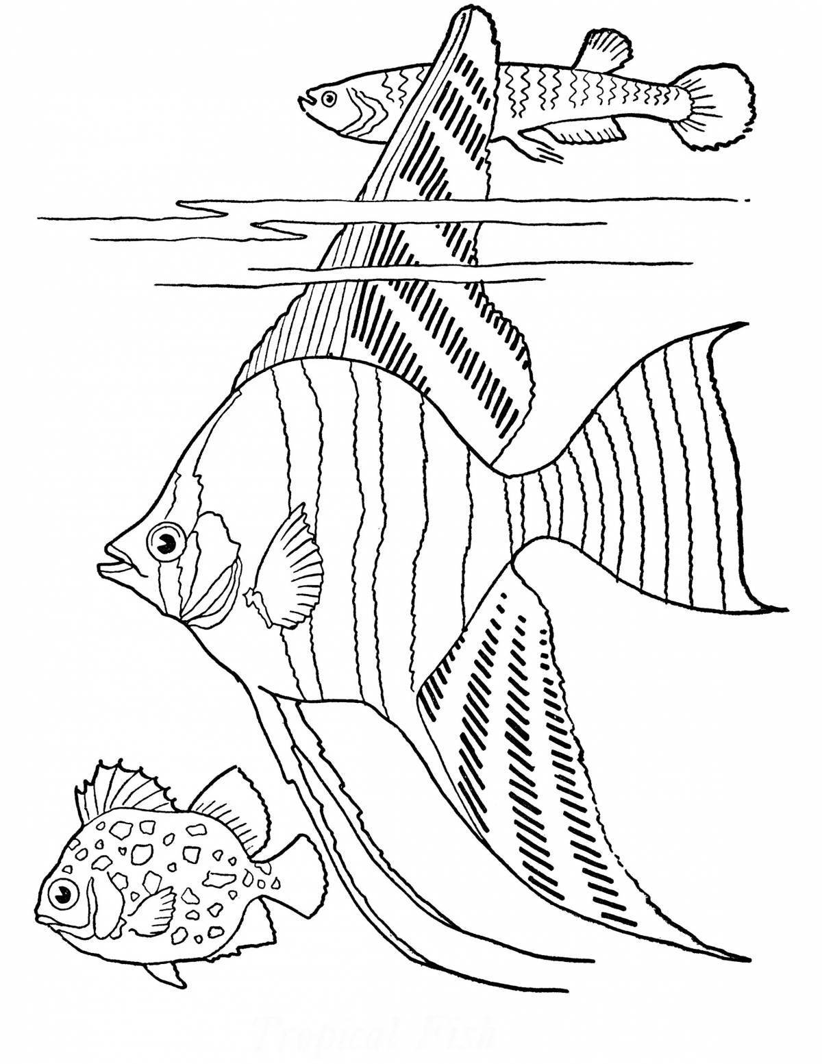 Сказочная рыбка-раскраска для мальчиков