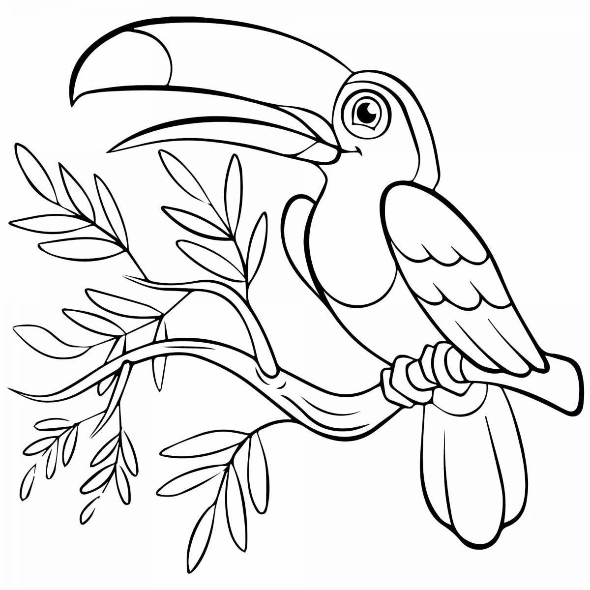 Cute bird coloring book for girls