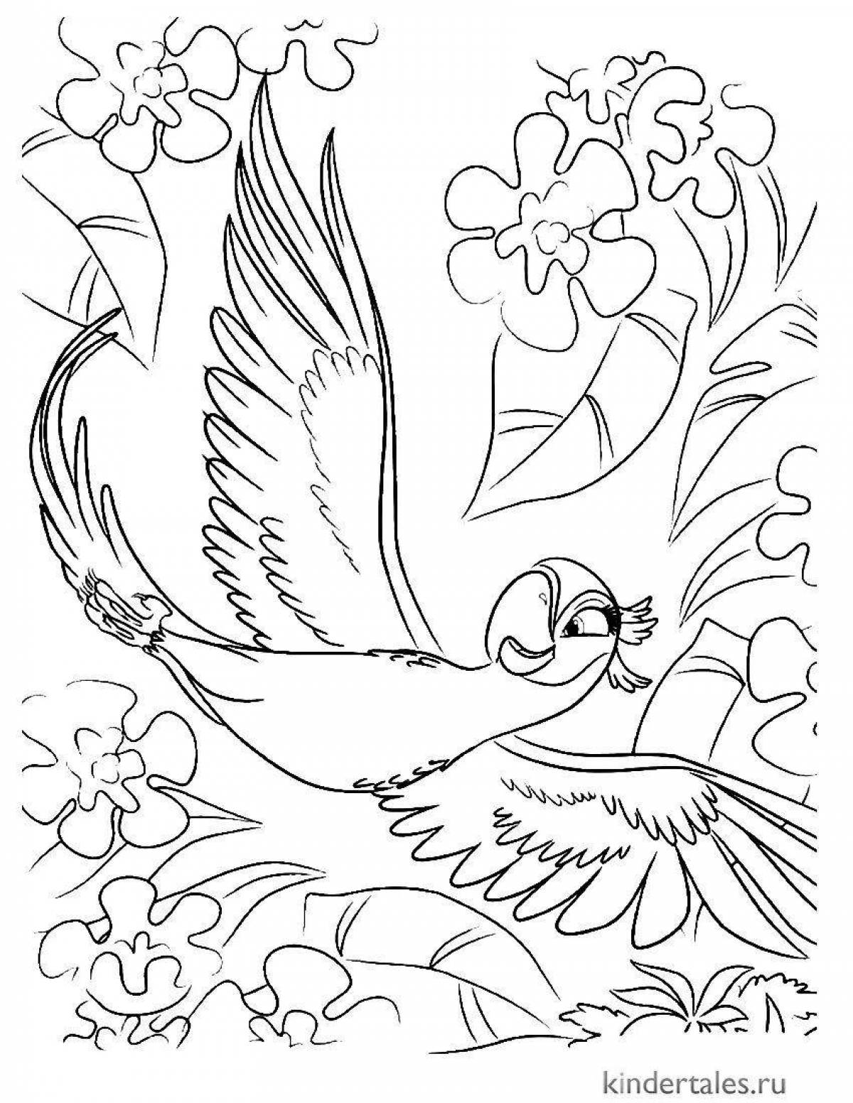 Playful bird coloring book for girls