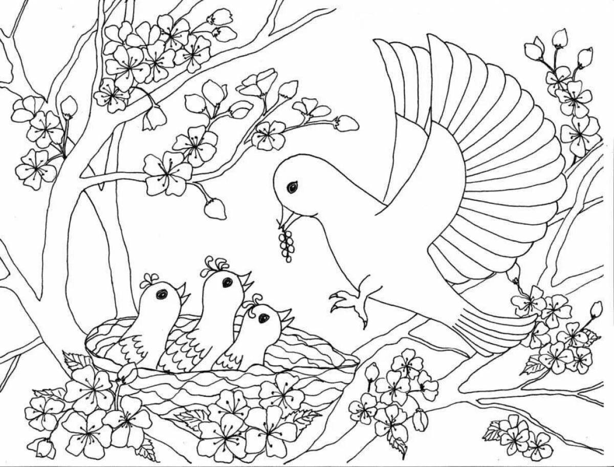 Великолепная раскраска для девочек с птицами