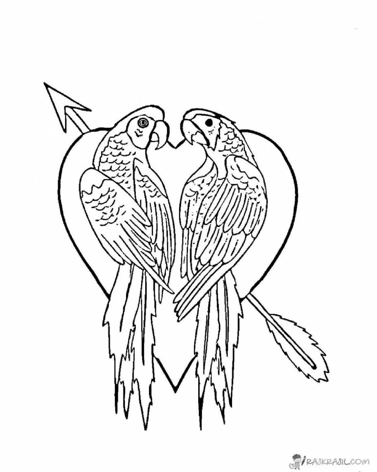 Fairytale coloring book for girls with birds