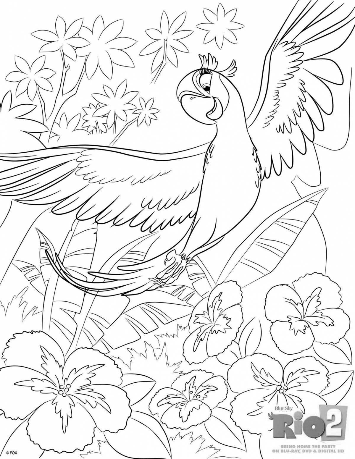 Elegant coloring book for girls with birds