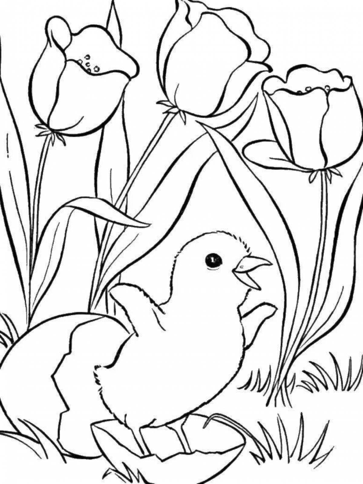 Quirky bird coloring book for girls
