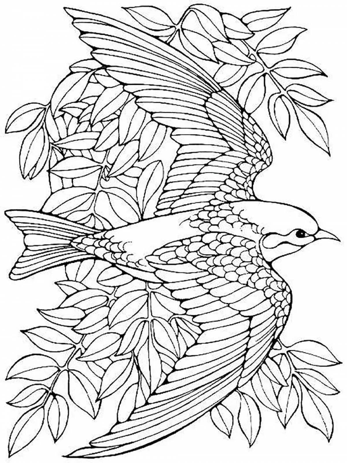 Sparkling bird girls coloring pages