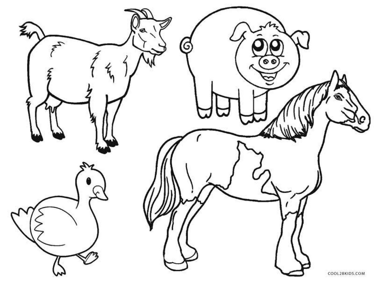 Curious pet coloring pages for kids