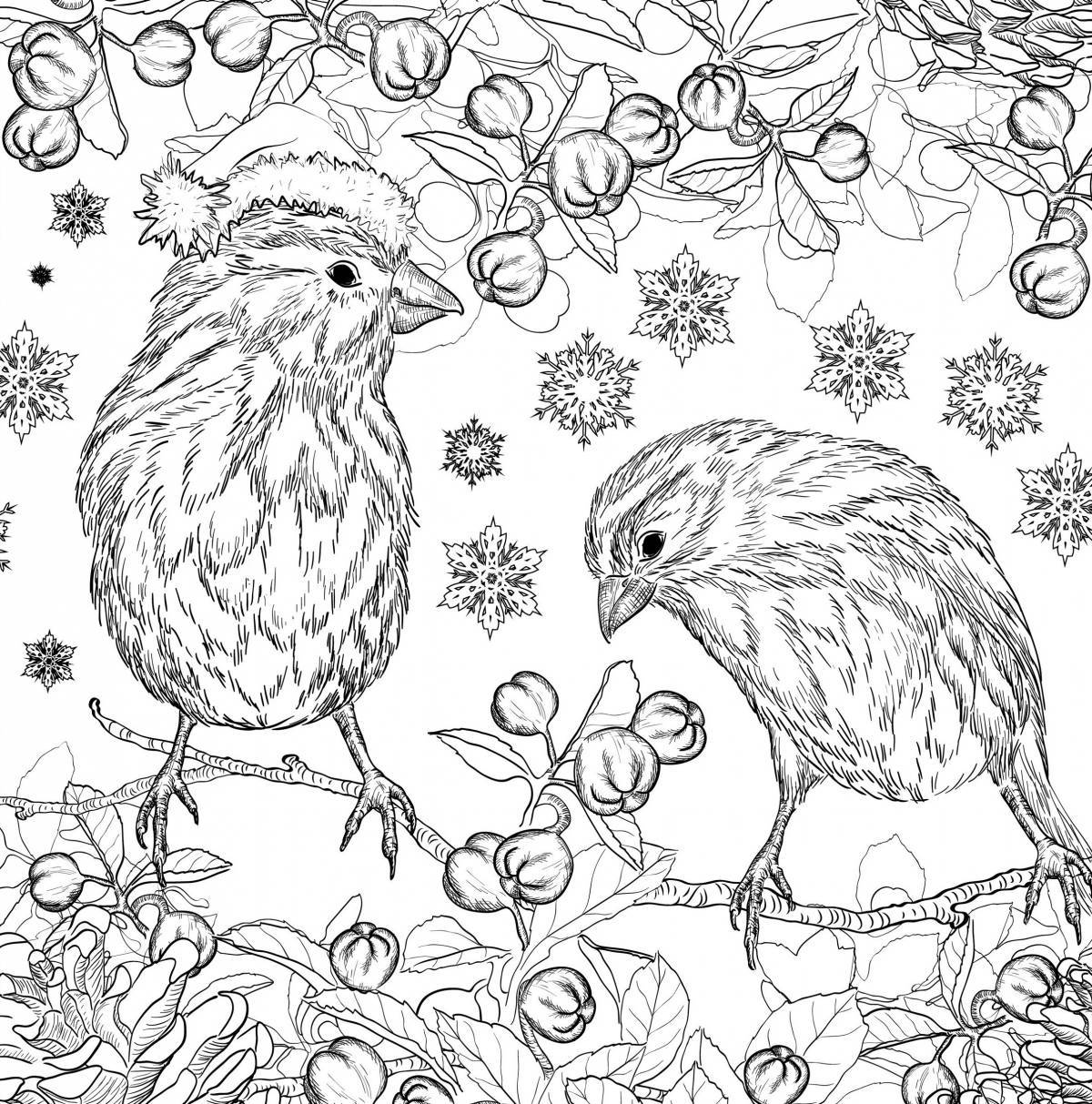 Quirky Christmas complex coloring book