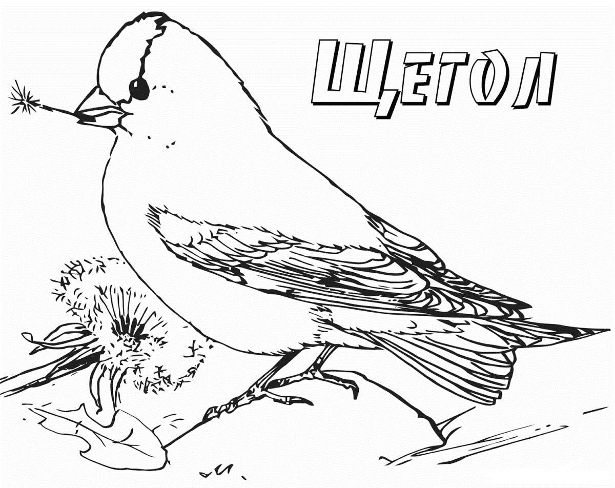 Colorful wintering birds coloring page for 6-7 year olds