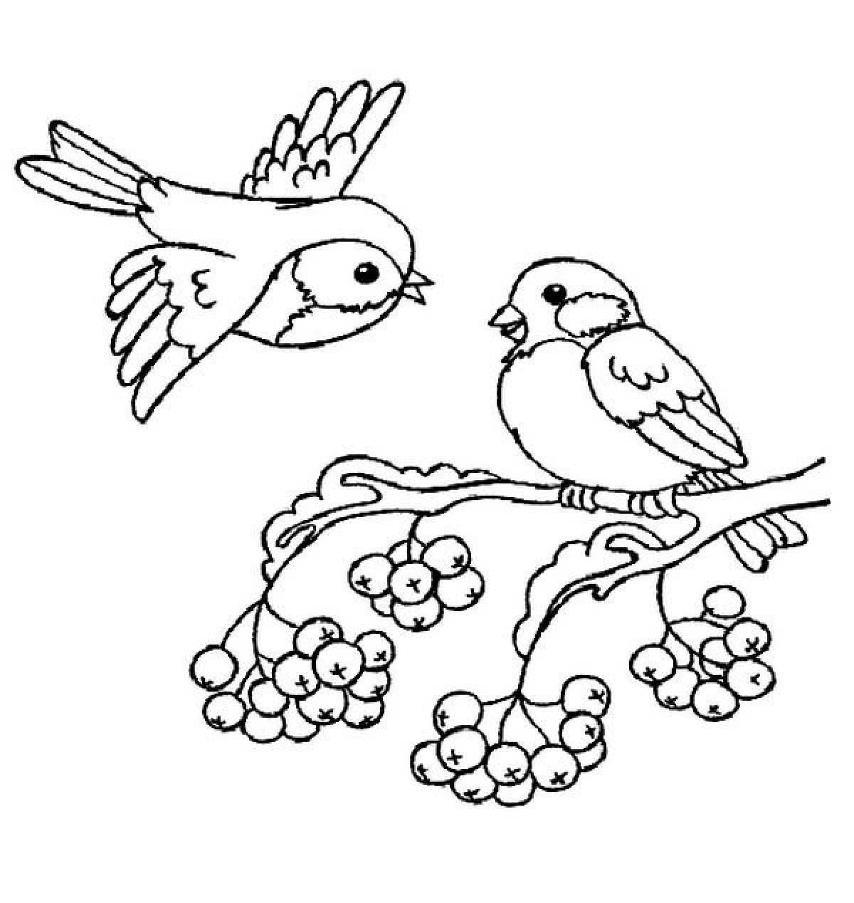 Coloring book cute wintering birds for 6-7 year olds