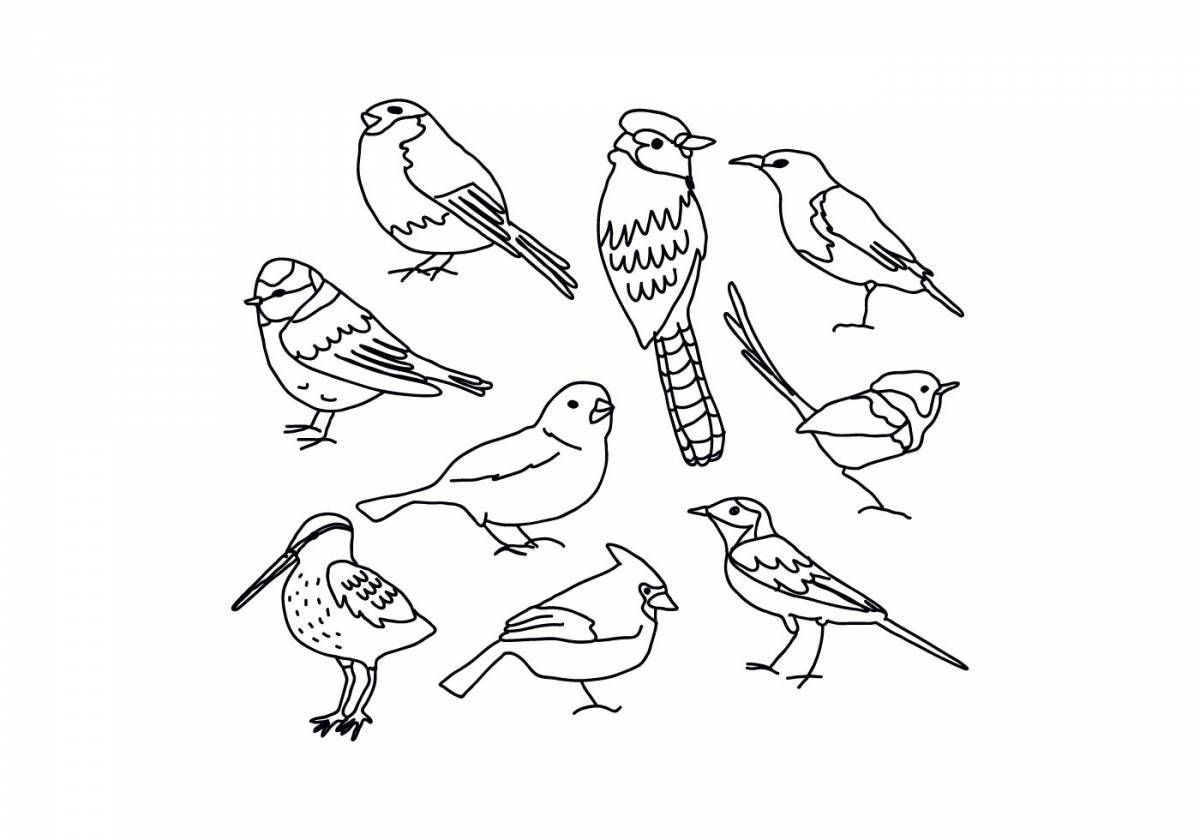 Wonderful coloring pages of wintering birds for children 6-7 years old