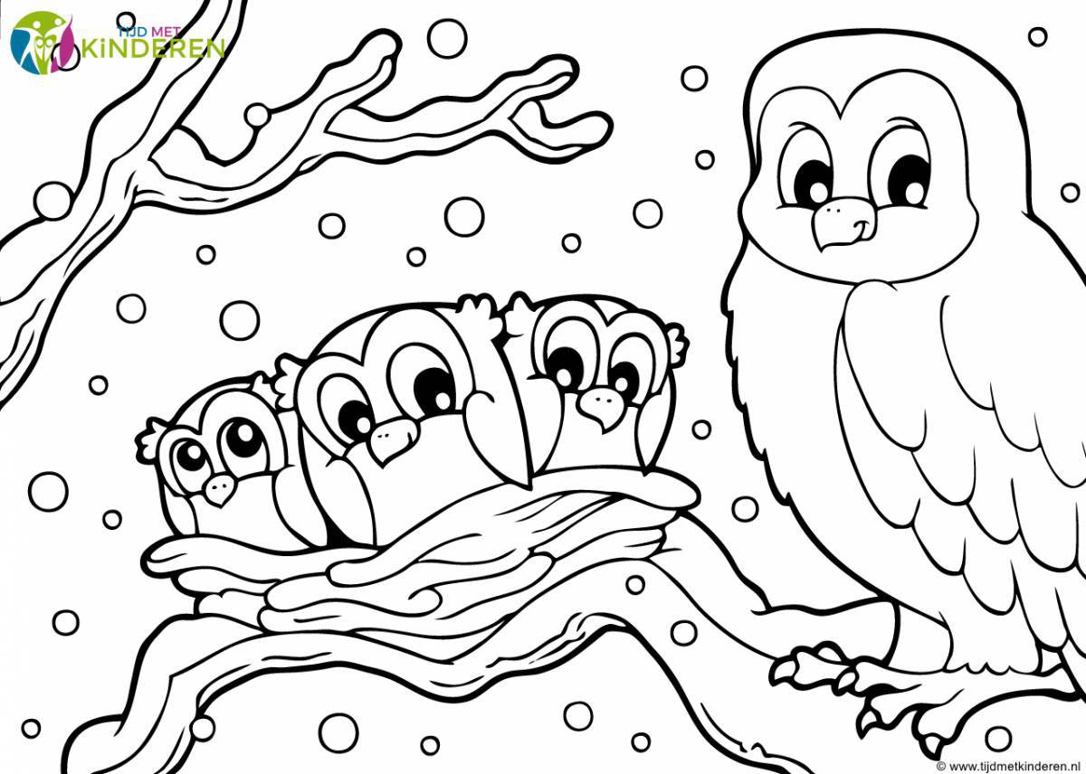 Adorable wintering birds coloring book for children 6-7 years old