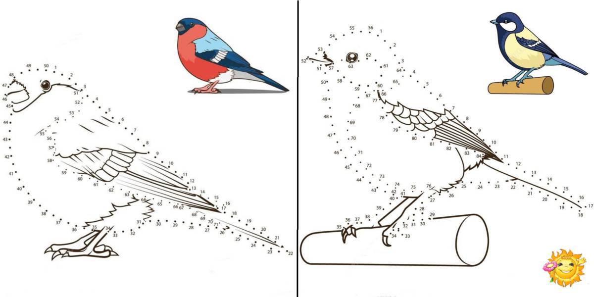 Блестящая раскраска зимующих птиц для детей 6-7 лет