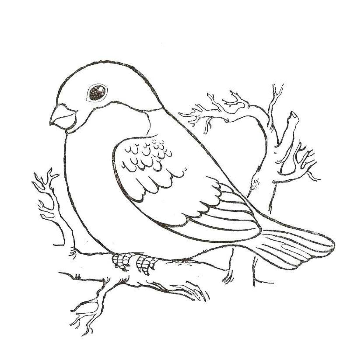 Playful winter birds coloring book for children 6-7 years old