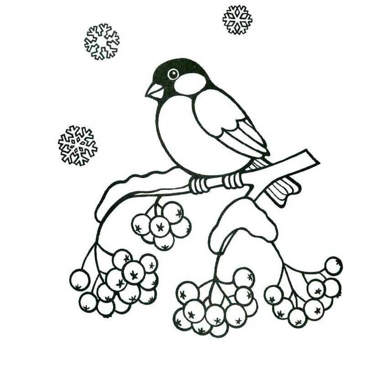Раскраска причудливые зимующие птицы для детей 6-7 лет
