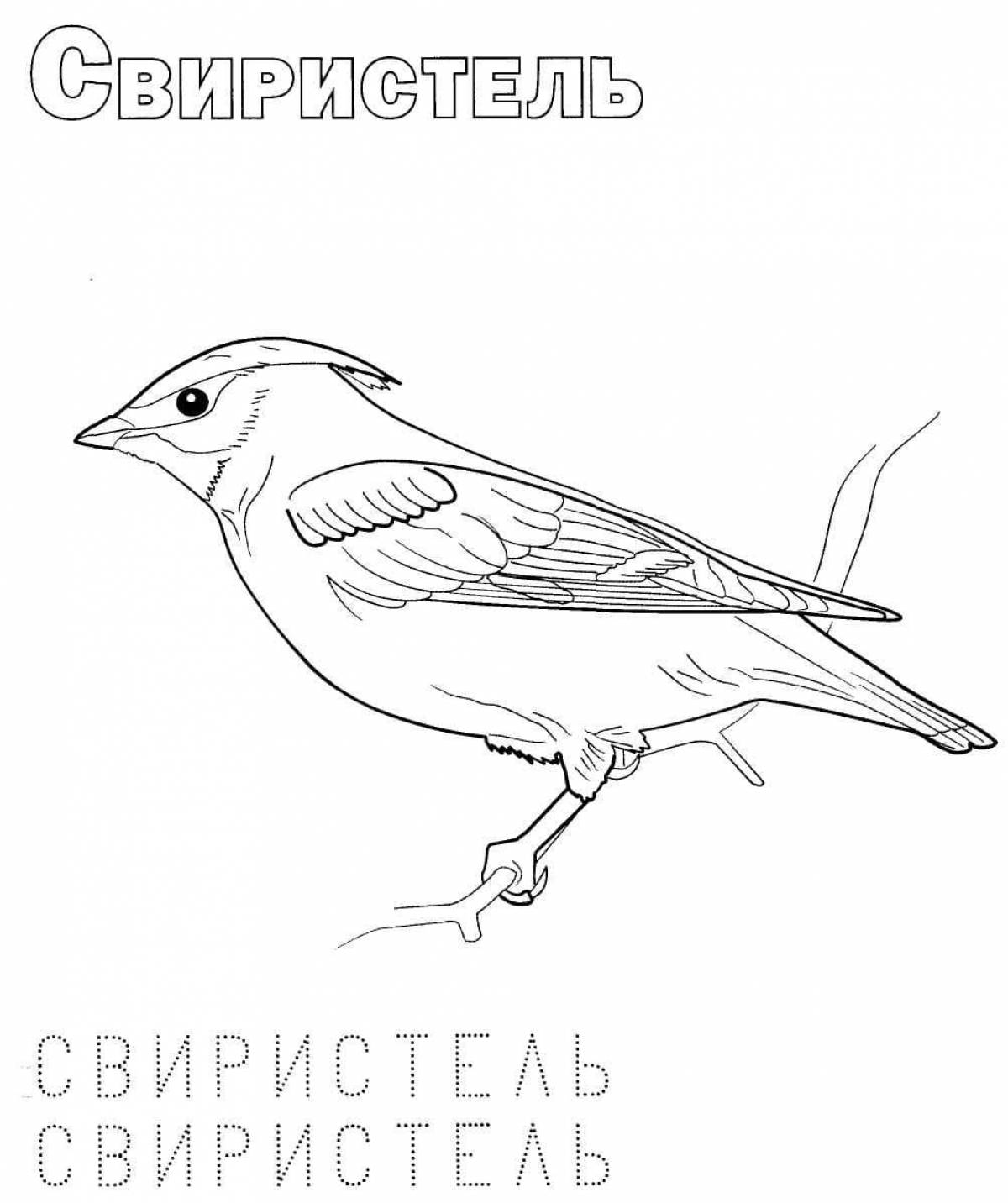 Coloring pages of wintering birds with crazy colors for 6-7 year olds