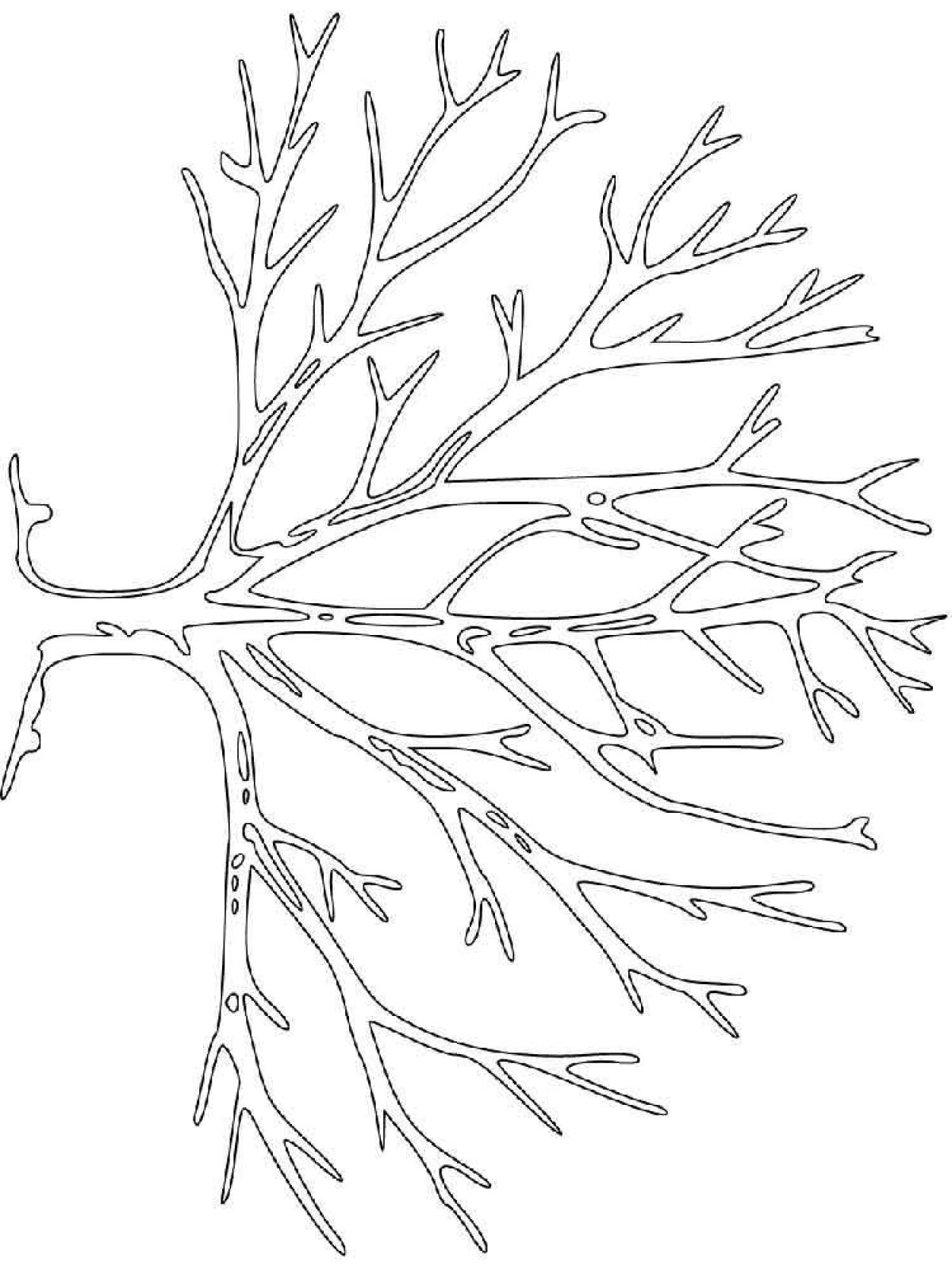 Colorful tree without leaves coloring pages for children