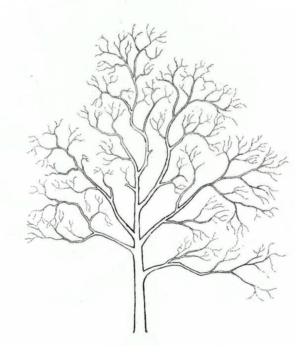 Playful tree without leaves coloring page for kids