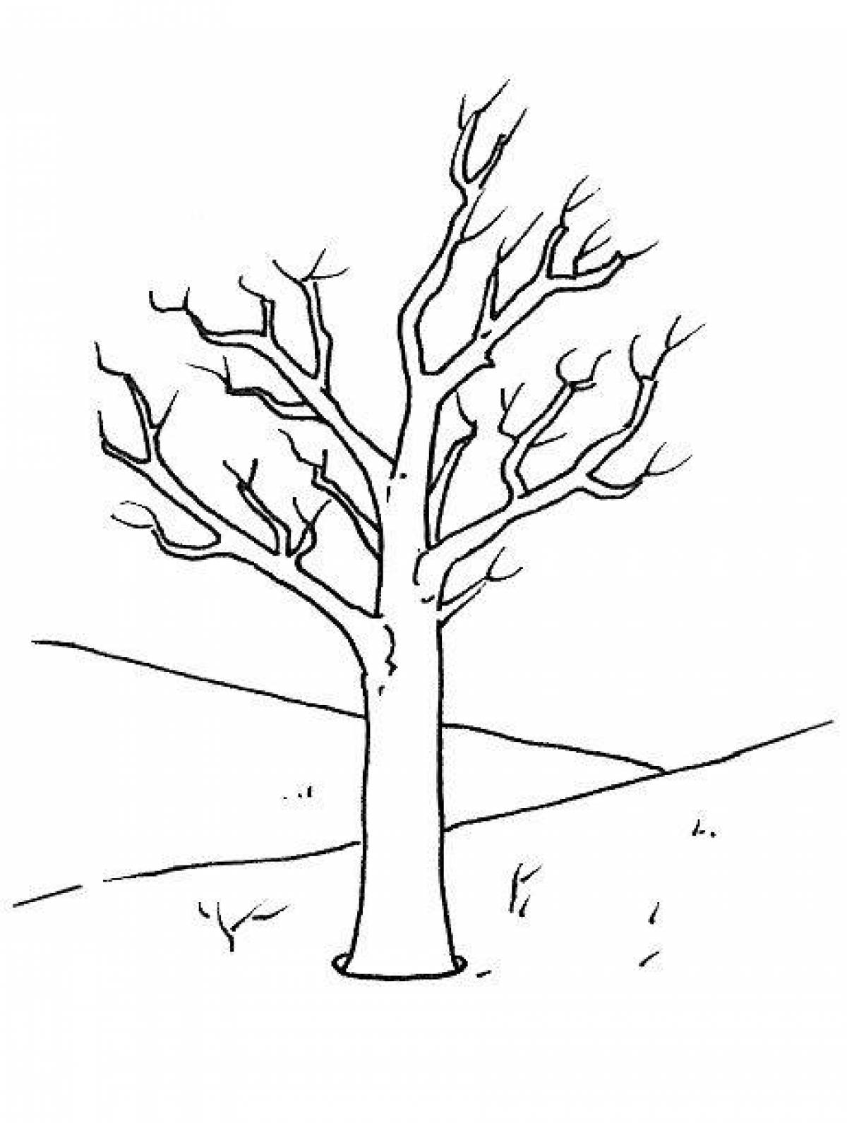 Coloring book shining tree without leaves for children